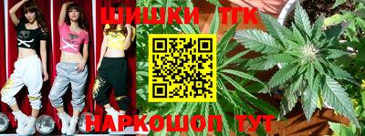 крисы Тверь