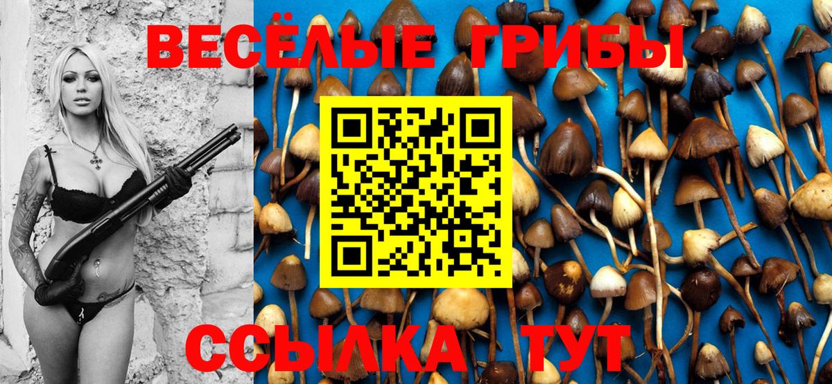 Галлюциногенные грибы GOLDEN TEACHER  Вход с VPN  Кингисепп 