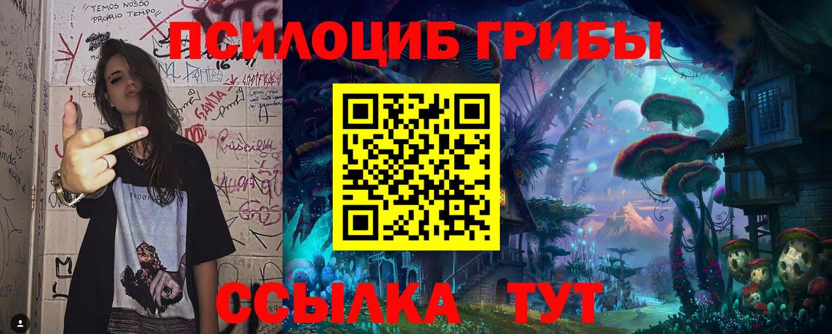 Псилоцибиновые грибы мицелий Кингисепп
